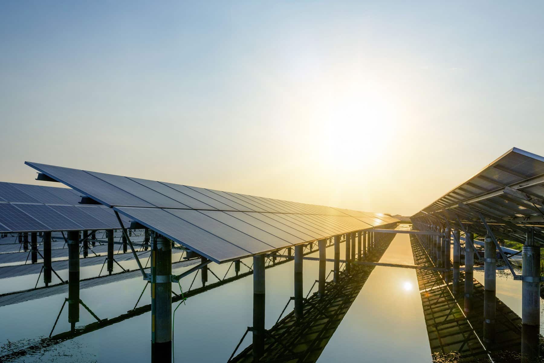 Foto einer großen Photovoltaikanlage auf einem Feld. Sonnenuntergang im Hintergrund.