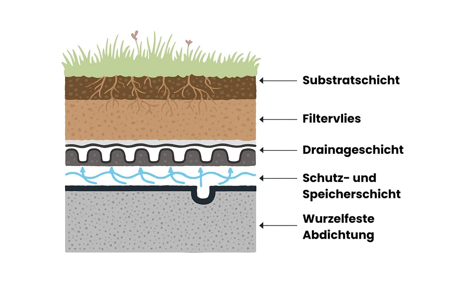 Diagramm Dachbegrünung Aufbau